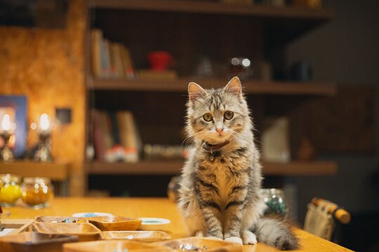 Tour image 6